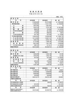 貸 借 対 照 表