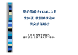 動的陽解法FEMによる 生体硬・軟組織構造 の 衝突損傷解析 - 生体力学