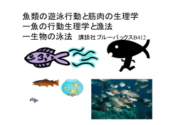 魚類の遊泳行動と筋肉の生理学 ー魚の行動生理学と漁法 ー生物の泳法