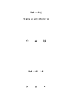 坂城町橋梁長寿命化修繕計画（PDF）