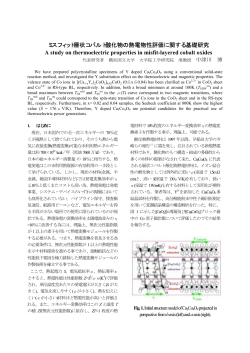 ICT05 Template - 中津川研究室 Nakatsugawa Laboratory