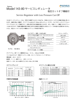 Model 143-80 サービスレギュレータ