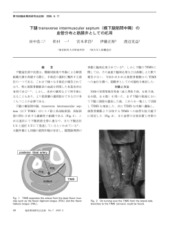 下腿 transverse intermuscular septum（横下腿筋間  - 臨床解剖研究会