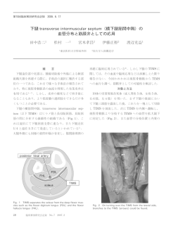 下腿 transverse intermuscular septum（横下腿筋間  - 臨床解剖研究会