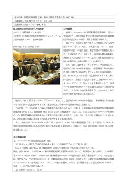 IMO 海上安全委員会 MSC84（ロンドン） - 海上技術安全研究所