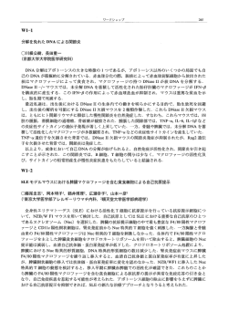 SLE モデルマウスにおける脾臓マクロファージを含む貪食細胞による自己