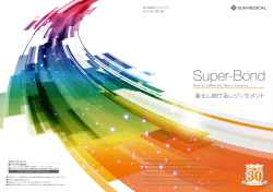 スーパーボンド【PDF:1.8MB】
