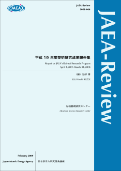 JAEA-Review-2008-066.pdf:6.37MB - 日本原子力研究開発機構
