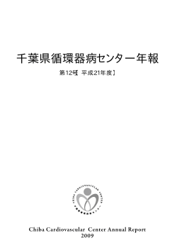 閲覧 （PDF：2090KB） - 千葉県