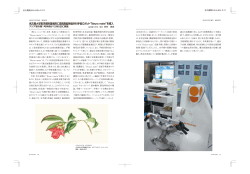 PDF版631kb - 名古屋大学
