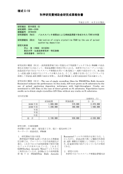 様式 C-19 科学研究費補助金研究成果報告書 科学研究費補助金研究