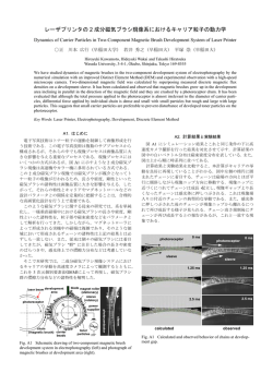レーザプリンタの 2 成分磁気ブラシ現像系におけるキャリア粒子の動力学