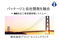 株式会社ブリッジ・エンジニアリング様 『パッケージと自社開発を融合』 - LANSA