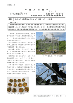( いんさつ ) 用 ( よう ) PDFファイル