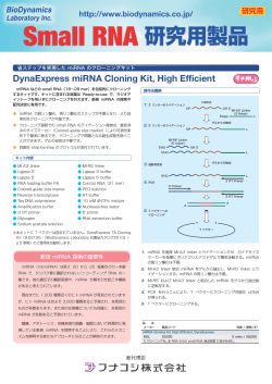 DynaExpress miRNA Cloning Kit, High Efficient
