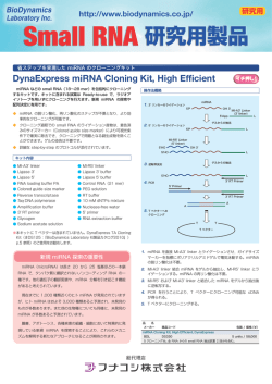 DynaExpress miRNA Cloning Kit, High Efficient