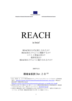 in brief 環境省仮訳(Ver.2.0)123