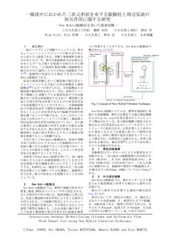 一様流中におかれた二次元形状を有する振動柱と周辺気流の 相互作用