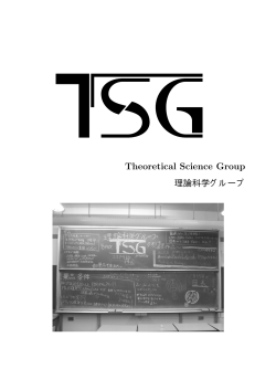 Theoretical Science Group - TSG(理論科学グループ)