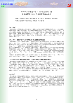 ホルマリン固定パラフィン切片を用いた糸球体腎炎における  - ニチレイ