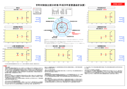 財政比較分析表（PDF形式 159KB） - 高崎市