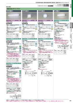 FS21808 FS41803 FS21809 FS41804 FS21803 FSS41818