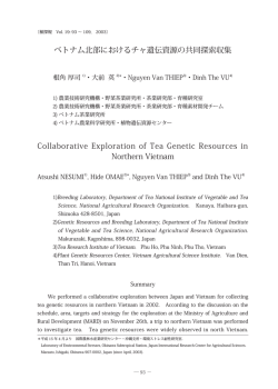 ベトナム北部におけるチャ遺伝資源の共同探索収集 Collaborative