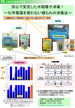 化学農薬によらない水稲の種子消毒法