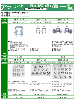 中分類名： 小分類名： ラバーダムクランプ