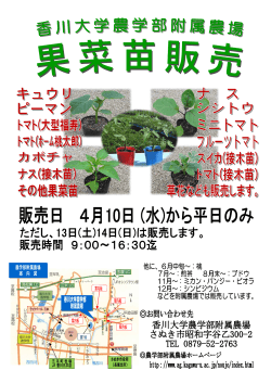 果菜苗販売を開催（2013/04/10)(PDF 512KB) - 香川大学農学部