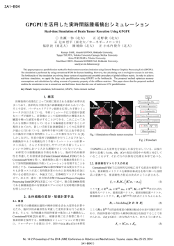 GPGPUを活用した実時間脳腫瘍摘出シミュレーション