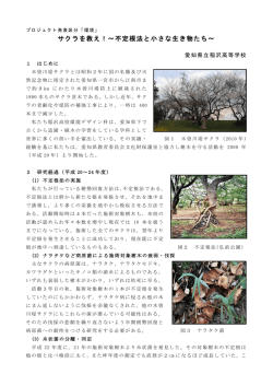 サクラを救え！～不定根法と小さな生き物たち～