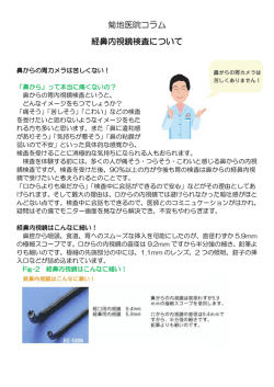 菊地医院コラム 経鼻内視鏡検査について