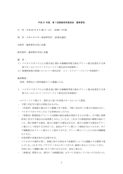 議事要旨 - 日本エネルギー経済研究所