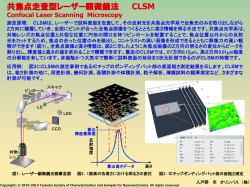 共焦点走査型レーザー顕微鏡法 (Confocal Laser Scanning Microscopy)