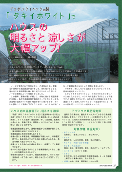 ハハウウウスススのの 明明るるるさささととと涼涼涼しししさ  - タキイ種苗