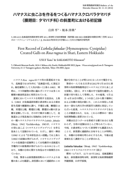 虫 作 （膜翅目： 科） 斜里町 初記録 First Record of  - 知床博物館