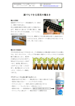 誰でもできる草花の種まき - 赤塚植物園