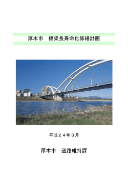 長寿命化修繕計画（概要版）（PDF形式：152KB） - 厚木市
