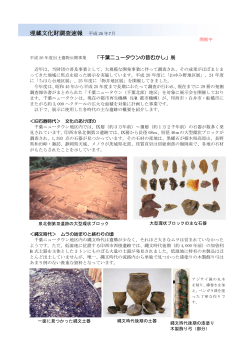 埋蔵文化財調査速報 平成 26 年7月 - 千葉県教育振興財団