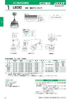IEC整合防爆型