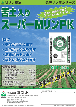 詳細はこちら - 株式会社ミズホ