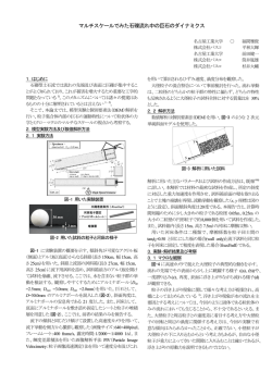 マルチスケールでみた石礫流れ中の巨石のダイナミクス - 名古屋工業大学