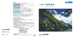 中間報告書 - ユーシン