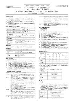 PDFファイル
