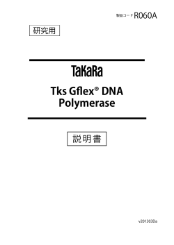 Tks Gflex® DNA Polymerase - タカラバイオ株式会社 遺伝子工学研究