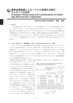 中野 幸司 - 協奏機能触媒