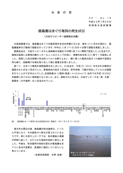 鹿島灘はまぐり稚貝の発生状況 - 茨城県