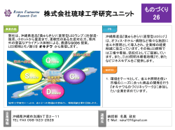PowerPoint プレゼンテーション - 株式会社OKINAWA J-Adviser