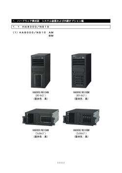 HA8000／NS10 （AM,BM）